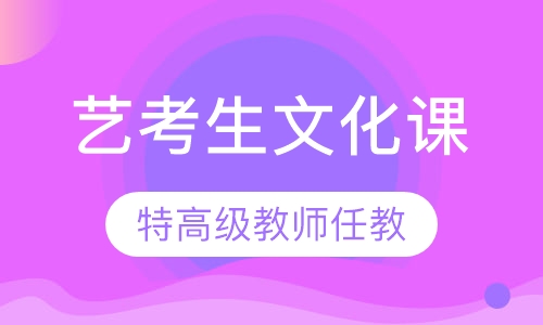 艺考生文化课培训