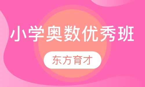 小学奥数优秀班