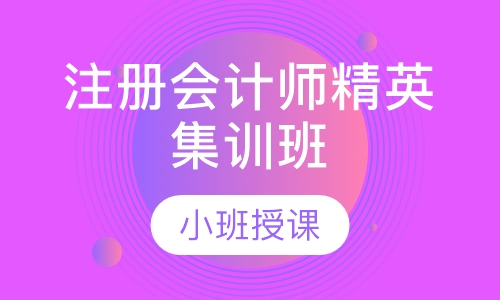 注册会计师精英集训班
