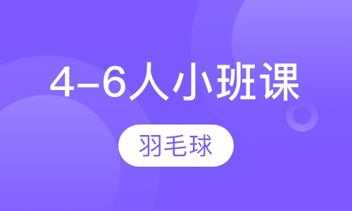 羽毛球小班课培训（4-6人）