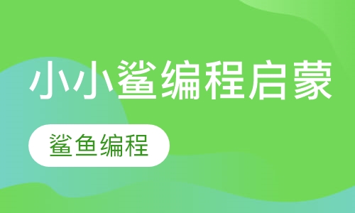 小小鲨编程启蒙