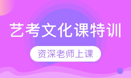 艺考文化课特训