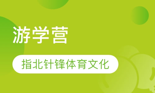 研(游)学营