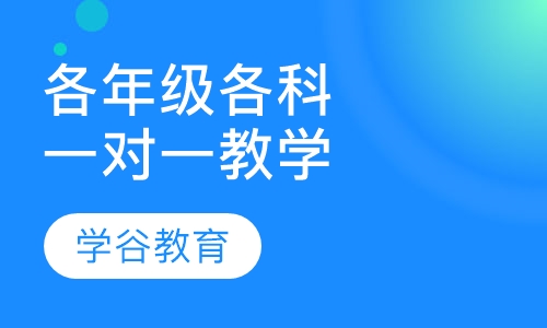 各年级各科一对一教学