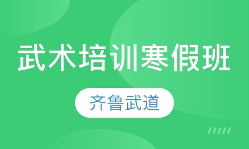 武术培训寒假班