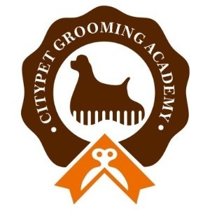 广州思迪宠物美容研修学院