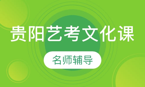 贵阳高三美术生冲刺艺考文化课