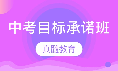 中考名师目标承诺班
