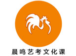 山大晨鸣艺考文化课特训营