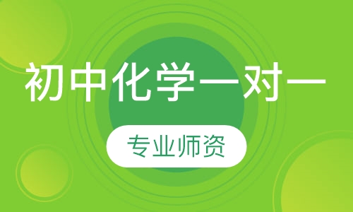 初中化学一对一