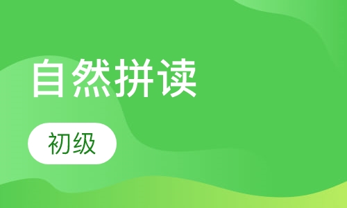 自然拼读初级