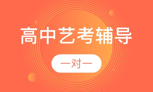 高中一对一艺考辅导