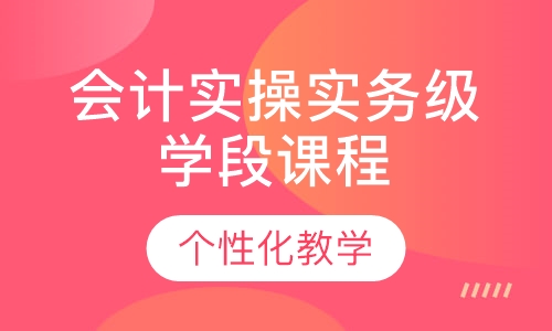 会计实操实务级学段课程