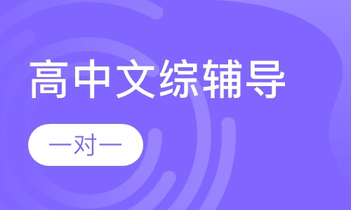 高中一对一文综辅导