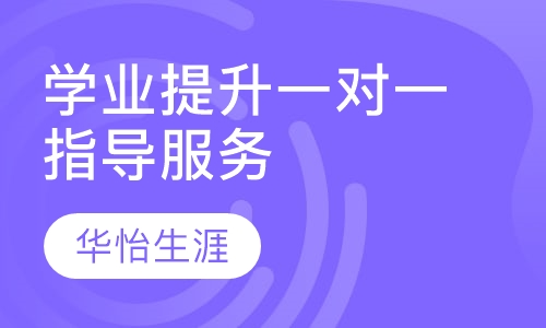 学业提升一对一指导服务