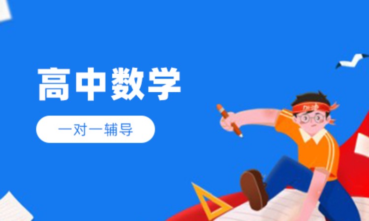 高中数学1对1辅导