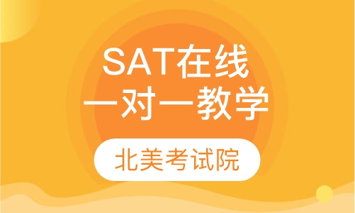 SAT“Online”一对一教学