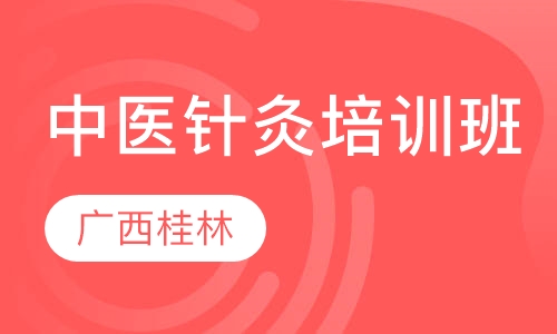 广西桂林针灸培训班