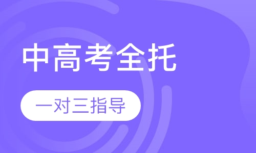 中高考全托一对三名师辅导