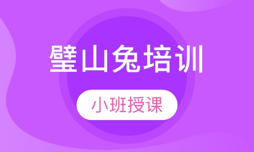 璧山兔培训