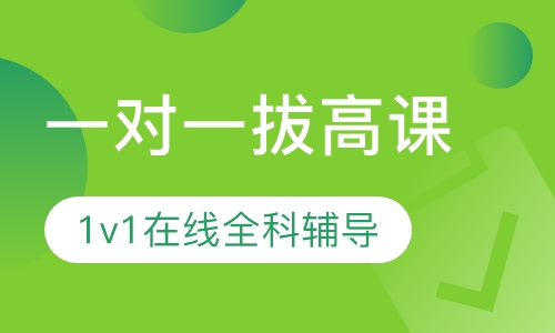 录播课+直播课一对一拔高课