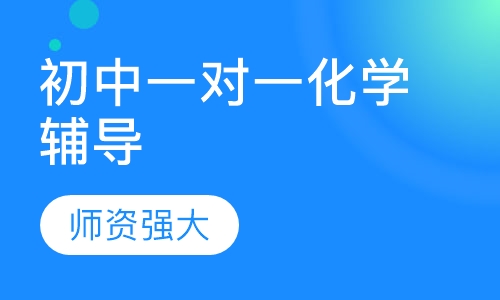 初中一对一化学辅导