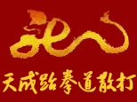 济南天成跆拳道散打