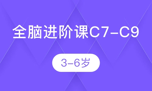 全脑进阶课C7-C9