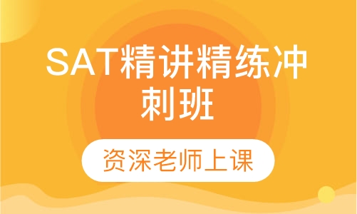 SAT精讲精练冲刺班