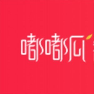 郑州嘟嘟瓜