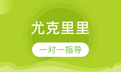 一对一尤克里里精品课程