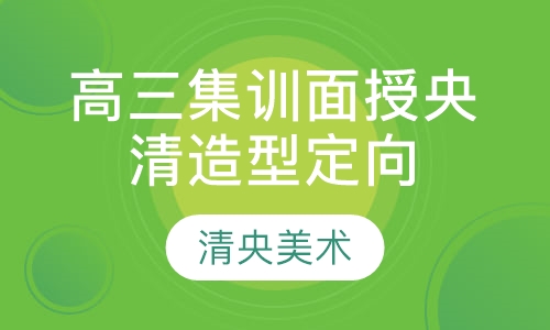 高三集训面授央清造型定向班