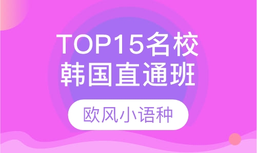 韩国TOP15名校直通课程