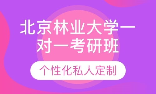 直播课北京林业大学一对一考研辅导班