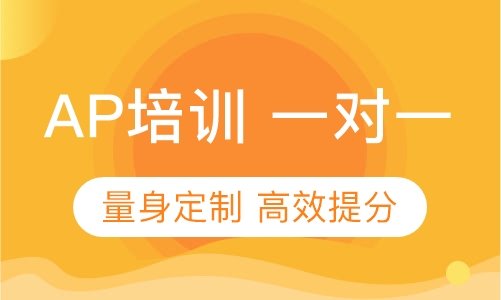 AP 培训一对一