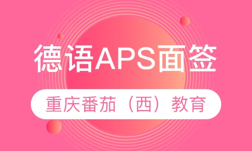 德语APS面签