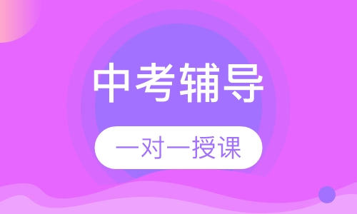中考一对一辅导