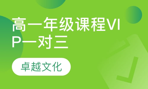 卓越文化高一年级课程VIP一对三