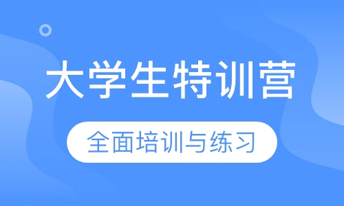 大学生特训营