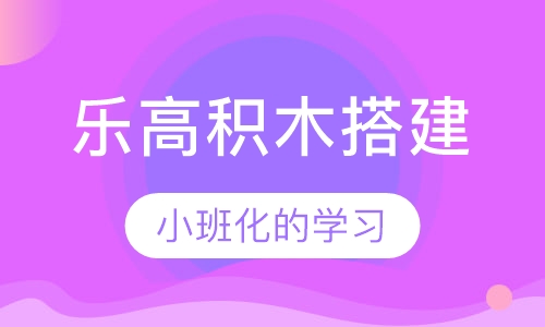 乐高积木搭建5-6岁