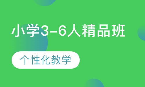 小学3-6人精品班