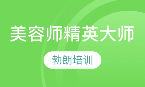 专业师精英大师课程