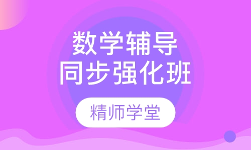 数学辅导同步强化班