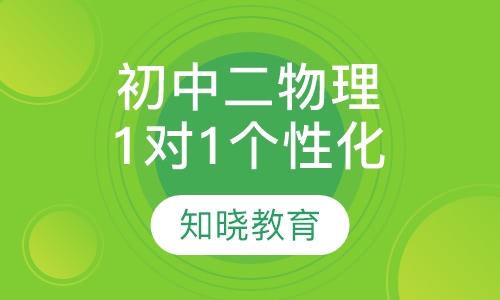 初中二年级物理 1对1个性化辅导