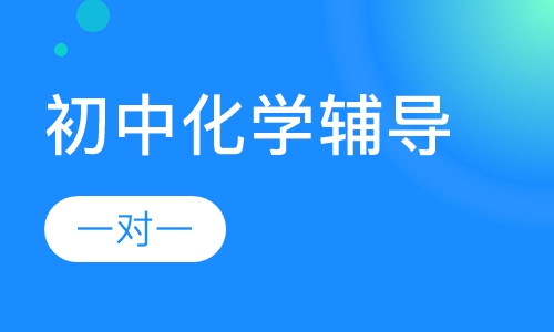 初中一对一化学辅导
