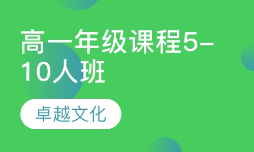 卓越文化高一年级课程5-10人班
