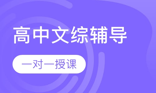 高中一对一文综辅导