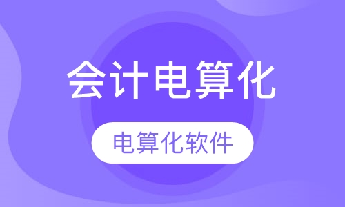 会计电算化
