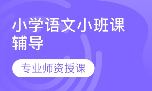 小学语文小班课辅导
