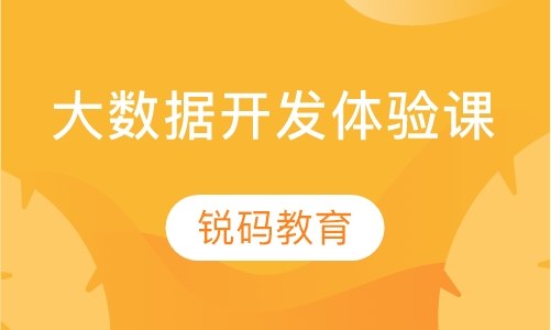 大数据开发体验课